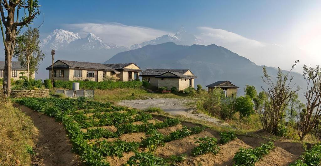 Hananoie - A Permaculture Resort Pokhara Buitenkant foto